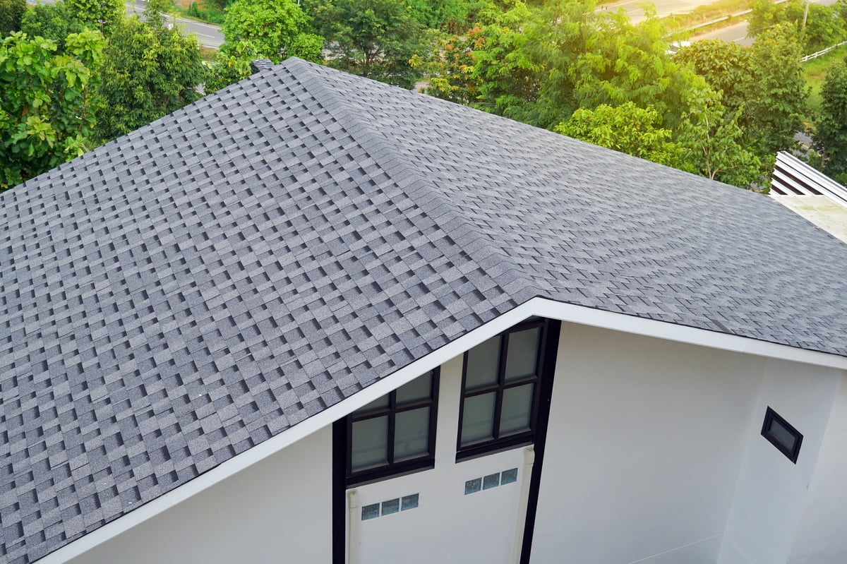 Steep slate roof on a modern home surrounded by trees